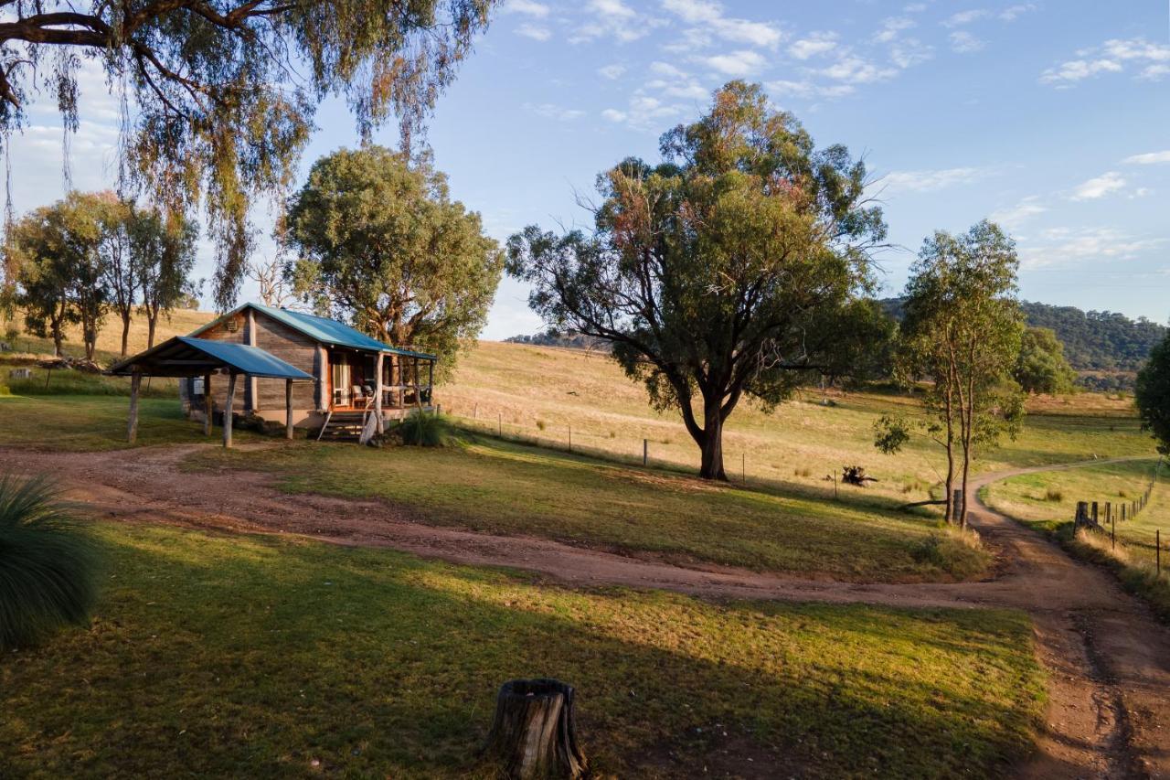 Gaddleen Grove Cottages Wodonga Luaran gambar