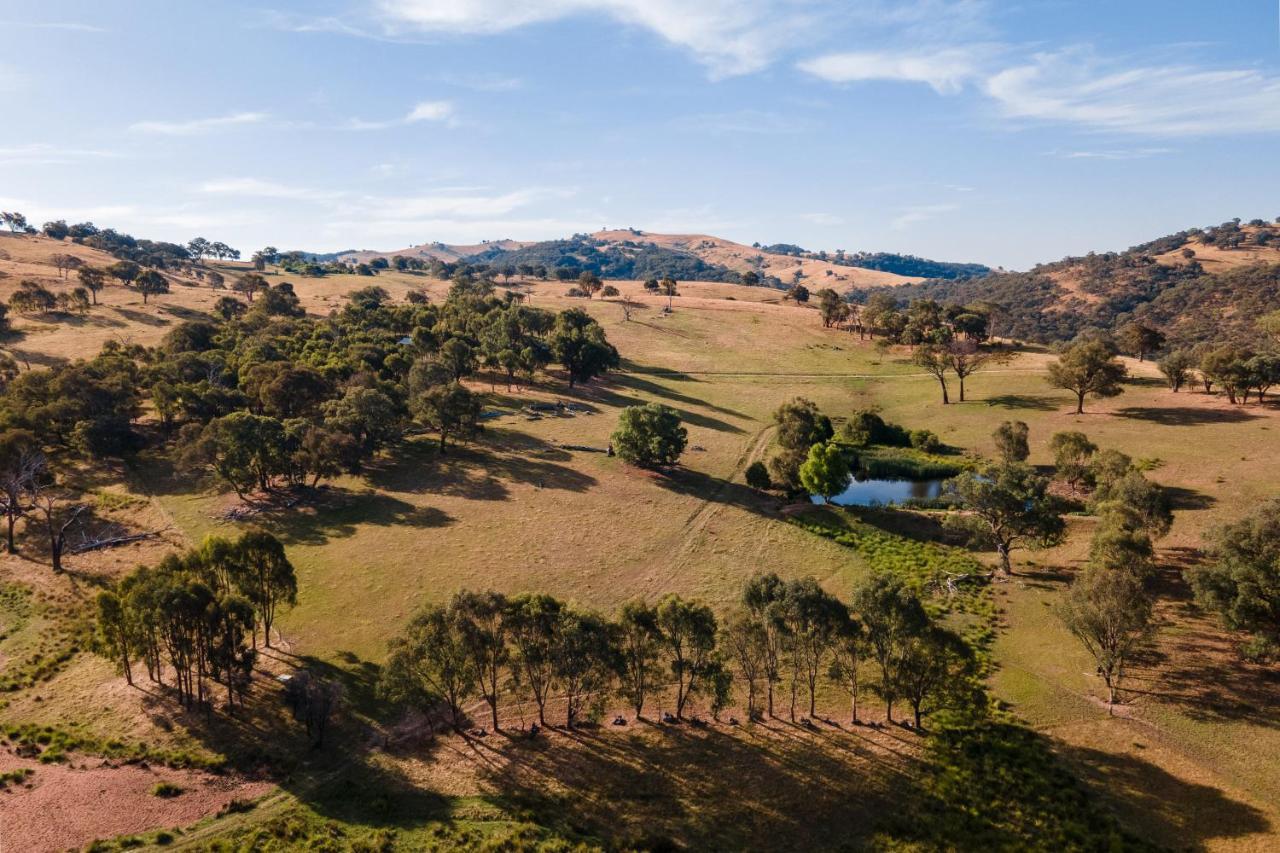 Gaddleen Grove Cottages Wodonga Luaran gambar